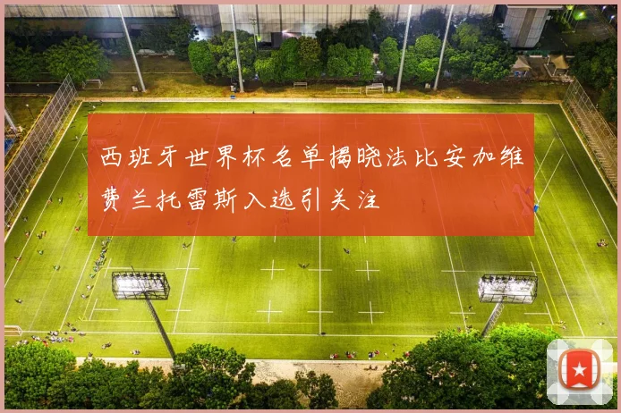 西班牙世界杯名单揭晓法比安加维费兰托雷斯入选引关注